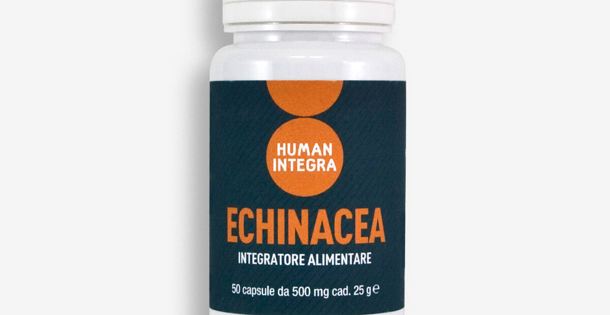 echinacea