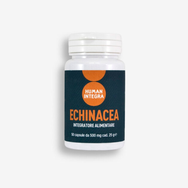 echinacea